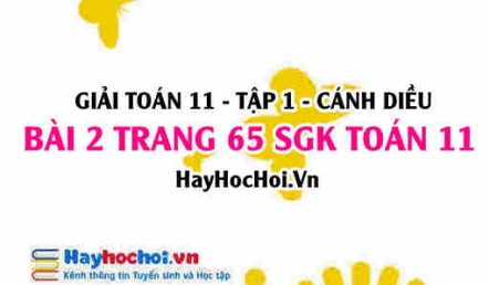 Giải bài 2 trang 65 Toán 11 tập 1 SGK Cánh Diều